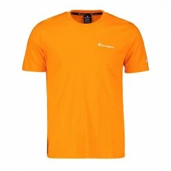 Nuovo 🎉 CHAMPION T-SHIRT LOGO PICCOLO Arancio 👏