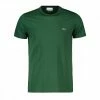 Acquistare 👏 LACOSTE T-SHIRT LOGO IN COTONE PIMA VERDE 👏