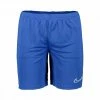 Sconto 🧨 NIKE SHORT DRI-FIT ACADEMY Royal 😍 -Offerte Novità Negozio nike cw6107 short dri fit academy training calcio uomo 042082201 480 1