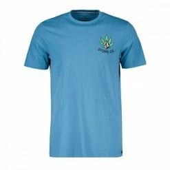 Offerte ✨ VOLCOM T-SHIRT KIND SHINE FTY Azzurro 😍